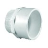Charlotte Pipe And Foundry Pipe Schedule 40 1/2 in. Slip X 1/2 in. D MPT PVC Pipe Adapter PVC 02109 0600